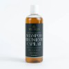 Shampoo Apigreen Crecimiento Acelerado Y Saludable 500 Ml