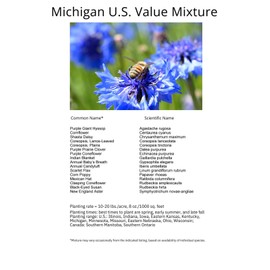 Paper Street Perennials 1/4LB Michigan Bulk Wildflower Seed Mix 1lb Covers 2,000sq-ft