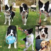XLMYS Dog Toys for Aggressive Chewers 13 Pack，Indestructible Tug of