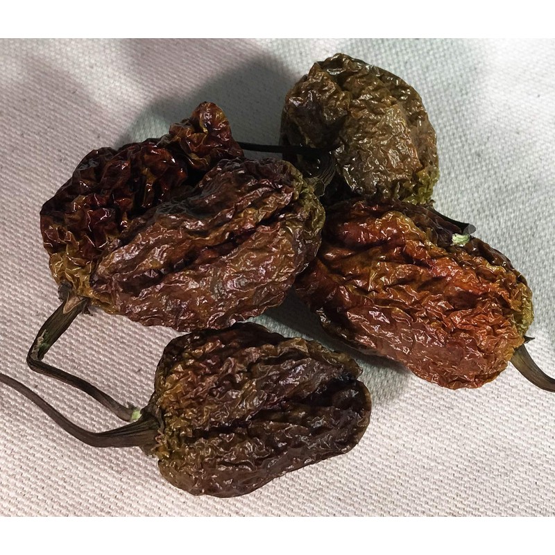 Chocolate Bhutlah Ultra Hot Pepper Dried Whole Pods 5 Pack