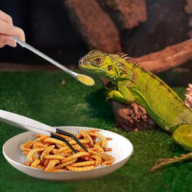 Ouliget Reptile Feeding Tool Set,Rubber Tip Straight Curved Feeding Tongs Tweezers,Reptile Feeding Spoon,Small Reptile Food Plastic Dish Bowl for Geckos Lizards Bearded Dragons