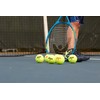 Penn Championship Tennis Balls - Regular Duty Felt Pressurized Tennis
