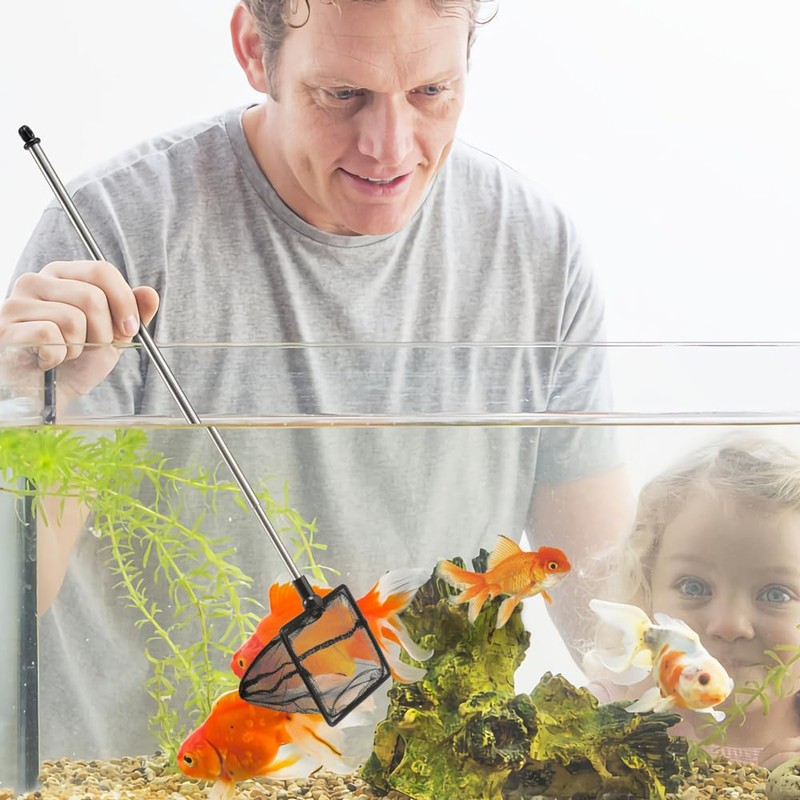 DaToo 3 Inch Aquarium Fish Net for Betta Fish Tank