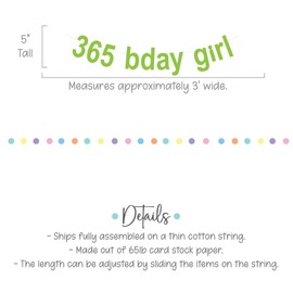 365 Bday Girl, 365 Bday Girl Banner, 365 Bday Girl Decorations, Lime Green Banner, Brat Birthday, Brat Birthday Decorations, Brat Summer, Brat Banner