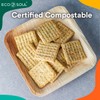 ECO SOUL Compostable 15cm Square Palm Leaf Plates | Pack