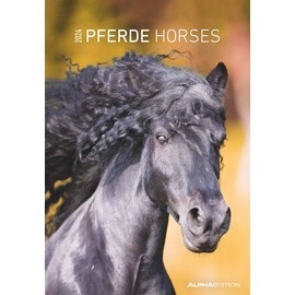 Horses 2024 Picture Calendar 23.7 x 34 cm Calendar with Space for Notes with Many Additional Information Horses Wall Calendar Alpha Edition