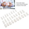 28Pcs Removable Teeth Piece Durable Plastic Removable Design False Teeth
