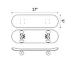 Small Skateboard, 17 x 5 Inch Double Kick Skateboard for