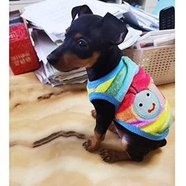 ANIAC Disfraz para mascota, ropa de conejo, chaleco suave de conejo, camiseta acogedora para gatito, hurón, chihuahua, cachorro y animales pequeños (2