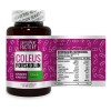 Coleus Forskolina 500 Mg, 60 Cápsulas