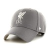 47 FC Liverpool Dark Grey EPL Ballpark Most Value P.