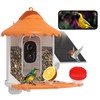 Hiseeu Bird Feeder with Camera, 2.5L Large Capacity, AI Identify
