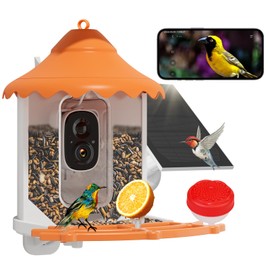 Hiseeu Bird Feeder with Camera, 2.5L Large Capacity, AI Identify 11000+ Birds Species, Solar Powered, Auto Capture Bird Videos & Motion Detection, Smart Bird Watching Camera Wireless Outdoor