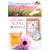 E&G Market Echinacea Herbal Tea, Echinacea Tea, 100% Made in
