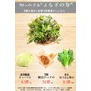 Yaso no Keru Enzyme, 0.2 oz (5 g) x 30