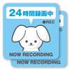 Security Stickers, Dogs, Dogs, Security Stickers, 3.9 x 3.9 inches