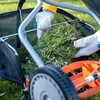 American Lawn Mower Company GC91416 14-Inch/16-Inch Reel Lawn Mower Grass