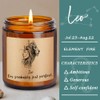 Funny Birthday Gifts for Women Men, Unique Leo Candle Bday