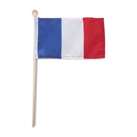 Tinisas World Premium Handheld France Stick Flag (1, France)