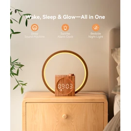 Dreamegg Sunrise Alarm Clock - Sound Machine for Sleep, 12 Ambient Colors &20-Level Dimmable Night Light, 25 Soothing Sounds, White Noise Machine, Wake Up Light for Adults, Stylish Bedroom Decor&Gift