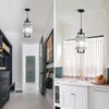 YUXINLUX Modern Pendant Light Fixtures with Clear Glass Matte Black