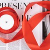 Fyshird Satin Ribbon Red 40 mm x 22 m Gift