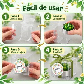 48pzs Velas Cactus Aromaticas Suculento Decorativas Con Caja