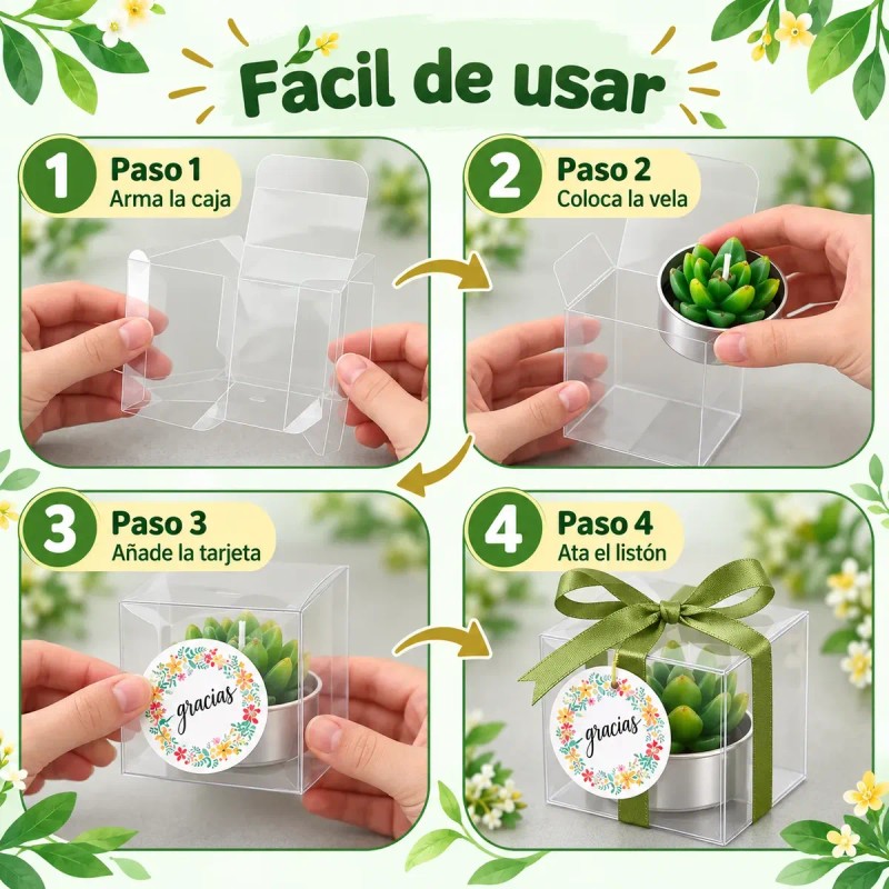 48pzs Velas Cactus Aromaticas Suculento Decorativas Con Caja