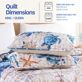 weigelia Coastal Quilts Bedding Set Queen Size - Summer Vintage Sea Turtles Nautical Bedding Quilt with Pillow Cases, Beach Reversible Quilt Set Bedspreads Coverlet Soft Lightweight Comforter