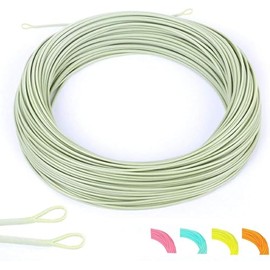 MAXIMUMCATCH Maxcatch Double Taper Floating Fly Fishing Line: DT1F-8F,100F in 3 colors (Moss green with 2 welded loops, DT2F)