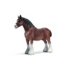 Clydesdale Stallion