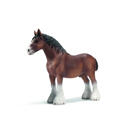 Clydesdale Stallion
