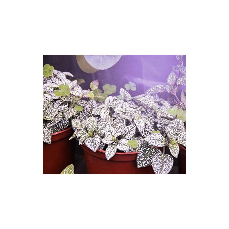 Un-Edison+ 14W Grow Light A19 150W Replacement LED Red &