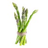 Todd's Seeds Mary Washington Asparagus Seed Packet - 10g Seed