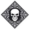 Flexfit Baseball Cap in Bundle with UD Skull Bandana in