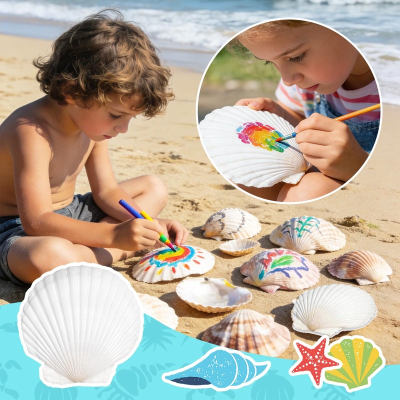 12 Pcs 4-5 Inch Large Scallop Seashells,Natural White Shells for