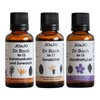 Original Dr. Bach Drops with Healing Herbs Essences, Complete Set