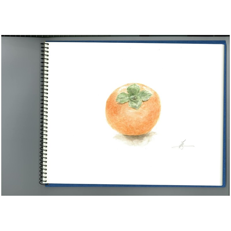 Maruman S31VA vifArt Watercolor Paper Sketchpad, SM, Fine Grain