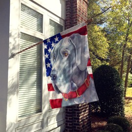 Caroline's Treasures LH9542CHF Great Dane USA Patriotic American Flag Flag Canvas House Size, Large, Multicolor