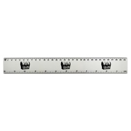 Azeeda 'Pirate Treasure Chest' 30cm (12 Inch) White Plastic Ruler (RL00101958)