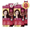 Elastine Salon de Color hair dye 100g light brown 1