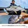 Shimano Offshore Lure Osia Armor Joint 220F Armor Boost XV-C22Y