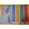 VTG 1987 Lot 4 Pee-Chee All Season Portfolio Folders USA