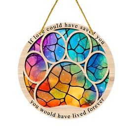 TUYOBG Colorful Round Acrylic Pet Memorial Gifts – Dog Remembrance Plaques, Cat Memorial Gifts – Hanging Ornament for Pet Loss with Paw Print Design, Pet Bereavement Gift for Dog or Cat Lovers