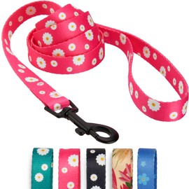 CollarDirect Floral Dog Leash Nylon Pattern Flower Print Adjustable Pet Leashes for Dogs Small Medium Large Puppy (S, Pink)