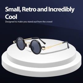 Technigadgets Isaac Steampunk Sunglasses (Gold/Gray)