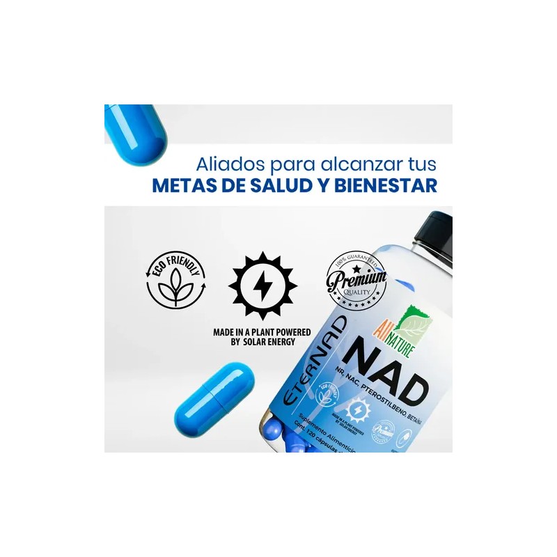 Nad Nicotinamida Ribosido 120 Capsulas All Nature