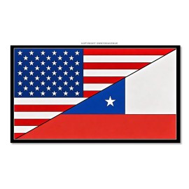 OwnTheAvenue USA American Chile Chilean World Flag Country Vinyl Sticker Decal 3.5"