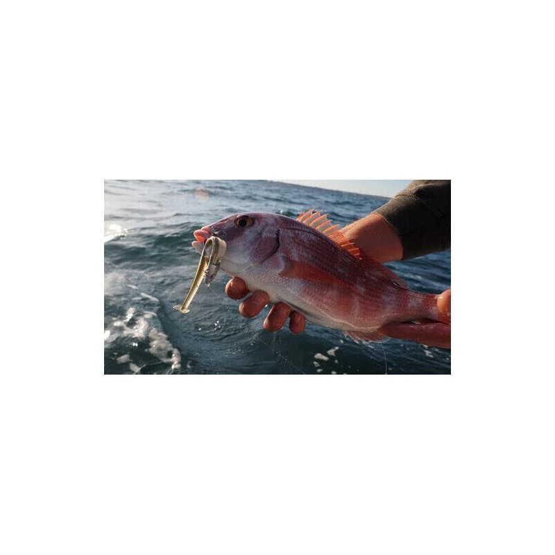 FIIISH Black Minnow 120-2 Jig heads Search - 18g -