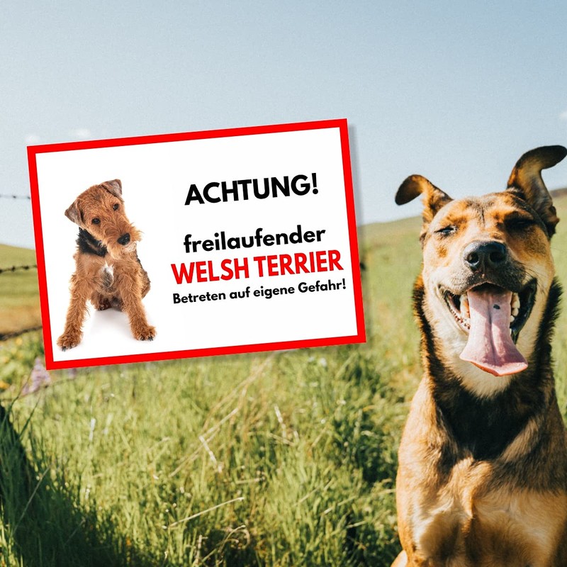 Welsh Terrier Free-Ranging Dog Sign with Saying Door Sign Dog
